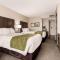 Comfort Inn & Suites Red Deer - Red Deer