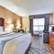 Comfort Inn & Suites Ambassador Bridge - Windsor