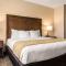 Comfort Suites Maingate East