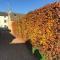 The Annexe