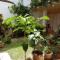 Hostal Cerro Azul