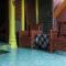 Rain Forest Guest House and Jungle Trekking - Bukit Lawang