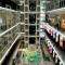 Cosy private suite 2BR 591 Nexus USJ Shah Alam