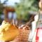 Orias Guesthouse & Farm