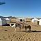 Sahara Luxury Camp - Zagora