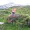 Pension Laurin