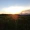 Wind Valley Farmstay