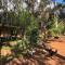 Country Cottages of Bridgetown