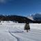 Appartement Chamrousse le Vernon