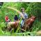 Bukit Tinggi Berjaya Hill Homestay
