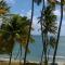Palm View