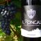 Il Roncal Wine Resort - for Wine Lovers