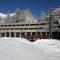 La stella alpina Cervinia Vda Vacanze in Vetta CIR 0250