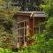 Los Pinos Cabins & Reserve - Monteverde