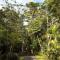 Los Pinos Cabins & Reserve - Monteverde