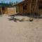 Yurt camp Tosor
