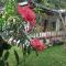 Disna Homestay