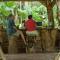 Danta Corcovado Lodge