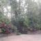 Dreams Home Estate Stay