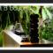 B Boutique Hotel