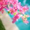 The Bingin Beach Villas Private Villas