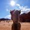 Foto: Wadi Rum Protected Area Camp 7/59