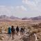 Foto: Wadi Rum Protected Area Camp 10/59