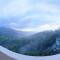 Tea Castle Munnar