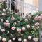 Villa Hestia photo 8