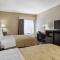 Quality Inn Kingstree North