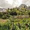 Finca Piñero