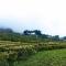 Foto: Sapa Hmong Bungalow Homestay 47/55