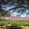 La Casa De La Bodega - Wine Boutique Hotel - Cafayate