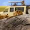 Rayan Apartments & Safaris