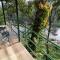 Noah's Nest Tree House - 提喀迪