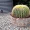 Karoo Sun Boutique Guest House