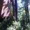Patagonia Mawida