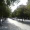 Temporary Alicante TM