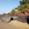 Xiao Jinmen Homestay