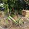 Your Home in Mae Rim - Ban Muang Pha