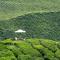 Cameron Highlands Resort - Small Luxury Hotels of the World