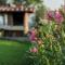 Agriturismo Streda Wine & Country Holiday