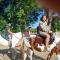Barabagh Deogarh - A Heritage Farm Stay