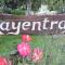Rayentray