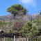 La Madonetta - Dimora depoca -