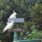 Aldgate Valley Bed and Breakfast
