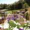 Hotel Restaurant Le Gardon - Pont du Gard