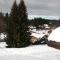 LES CARROZ LE LAYS cosy apartment 40M2 vue montagne plein sud