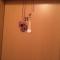Apartman Magura 37