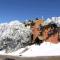 Christiana 5 AMS Mt Buller